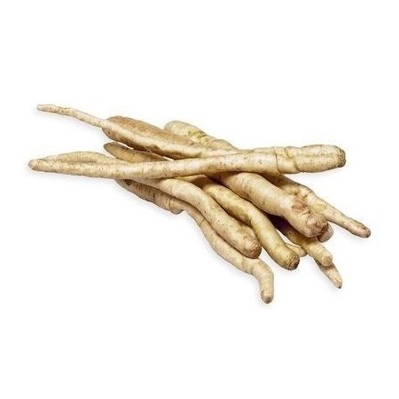 RADICE AMARA VASSOIO 500 GR FRESCA